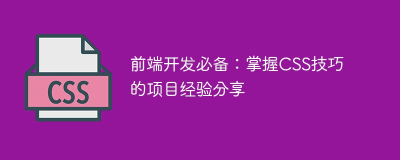 前端开发必备:掌握css技巧的项目经验分享