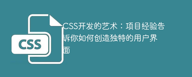 css开发的艺术:项目经验告诉你如何创造独特的用户界面