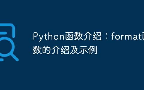 Python函数介绍：format函数的介绍及示例