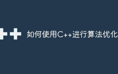 如何使用C++进行算法优化?