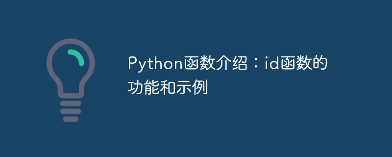 python函数介绍:id函数的功能和示例