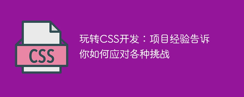 玩转css开发:项目经验告诉你如何应对各种挑战