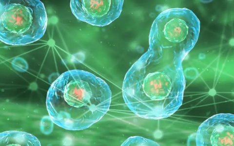 中国科学院研究团队发布了两篇重要论文：首个跨物种生命基础大模型问世，以及新型细胞命运预测AI模型的发布