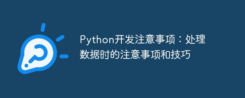 python开发注意事项:处理数据时的注意事项和技巧