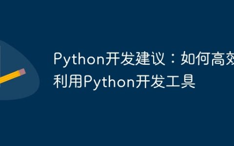 Python开发建议：如何高效利用Python开发工具