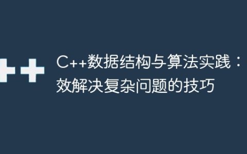 C++数据结构与算法实践：高效解决复杂问题的技巧