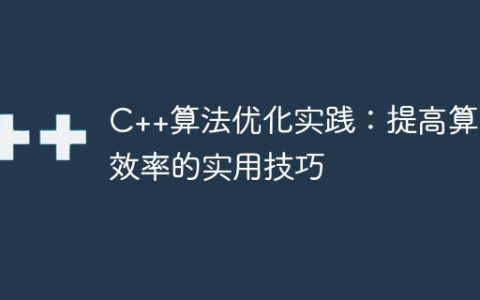 C++算法优化实践：提高算法效率的实用技巧
