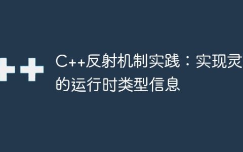 C++反射机制实践：实现灵活的运行时类型信息