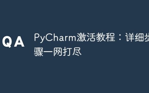 PyCharm激活指南：全面解析激活过程