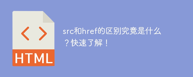 src和href的区别究竟是什么?快速了解!