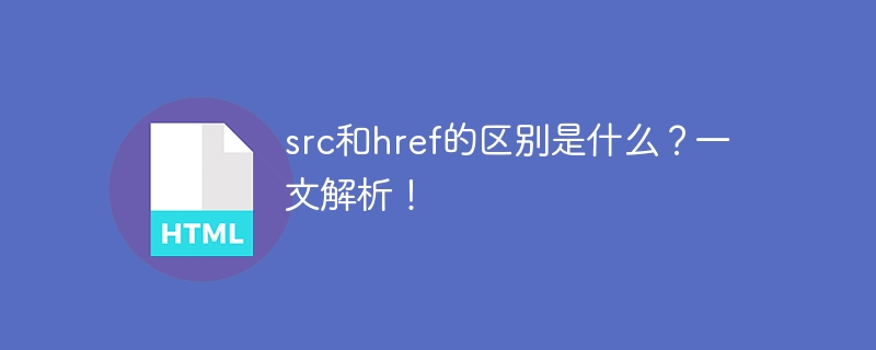 src和href的区别是什么?一文解析!