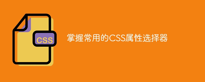 掌握常用的css属性选择器