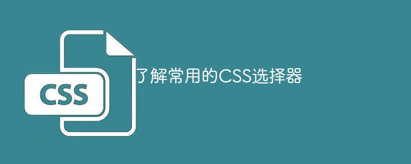 了解常用的css选择器
