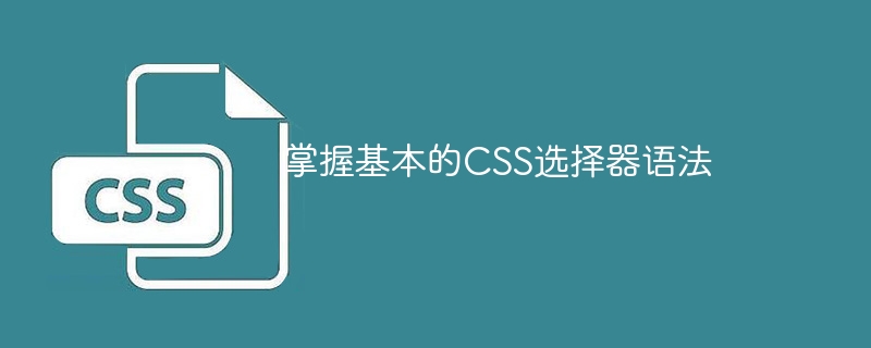 掌握基本的css选择器语法