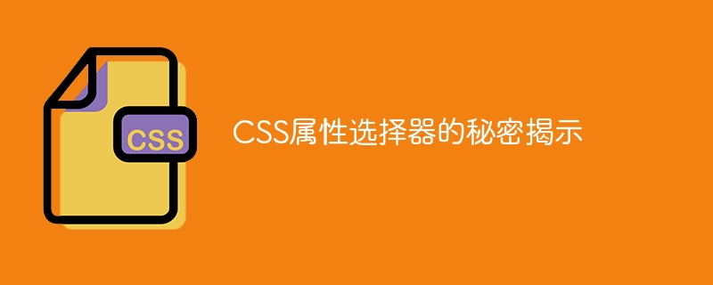 css属性选择器的秘密揭示
