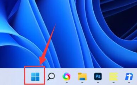 如何在Windows 11中设置麦克风权限