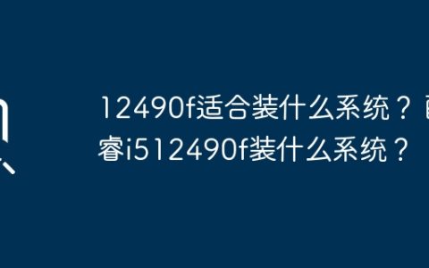 适合12490f的操作系统有哪些？ 酷睿i512490f适用的操作系统有哪些？