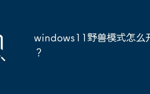 如何启用Windows 11的野兽模式？