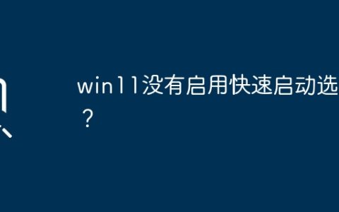 win11没有启用快速开机功能？