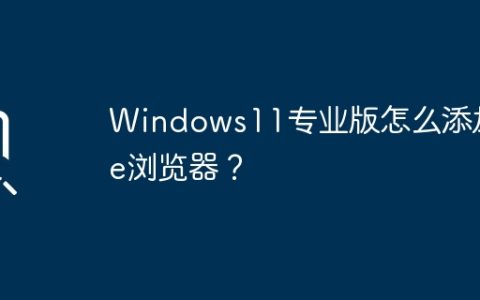 如何在Windows 11专业版中安装IE浏览器？