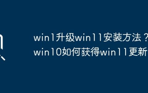 win1升级win11安装方法？ win10如何获得win11更新？