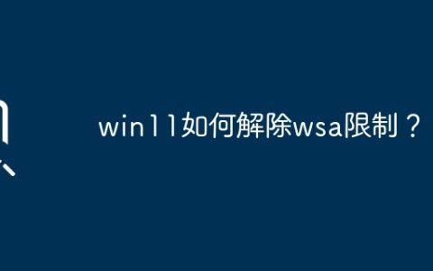 解锁WSA限制的Win11方法