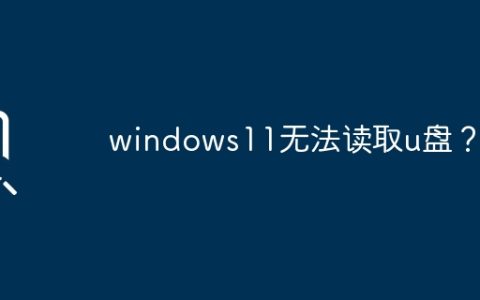 问题：U盘无法被Windows 11识别？