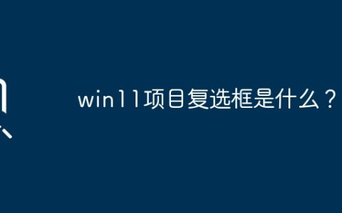 了解win11项目中的复选框功能是什么？
