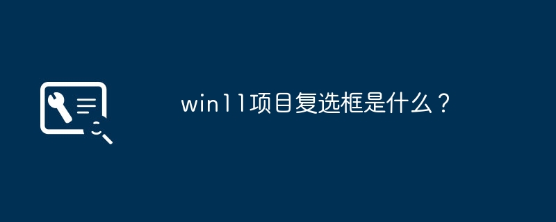 win11项目复选框是什么?