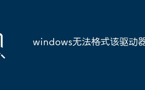 驱动器无法被Windows格式化？