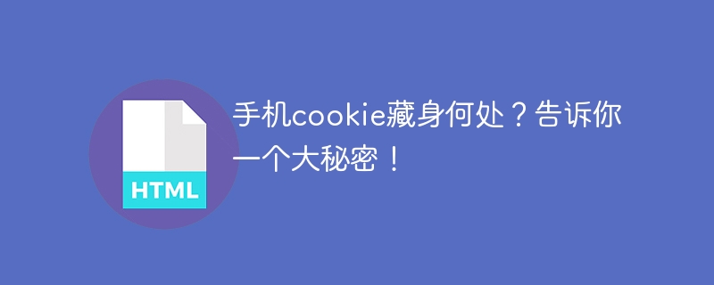 手机cookie藏身何处?告诉你一个大秘密!