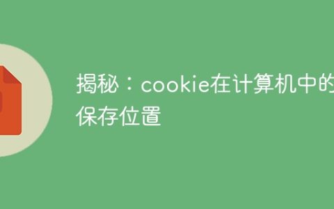 揭秘：cookie在计算机中的保存位置