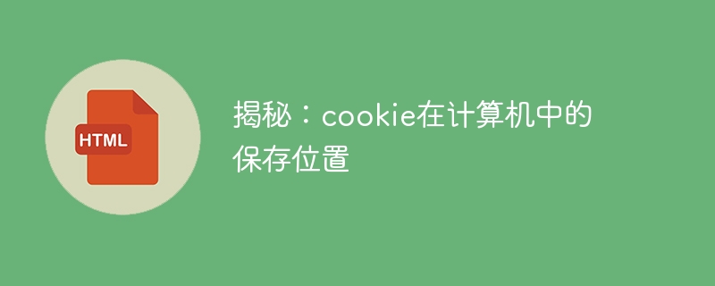 揭秘:cookie在计算机中的保存位置