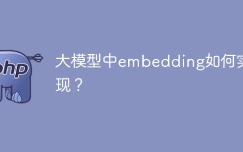 大规模模型中embedding的实现技术