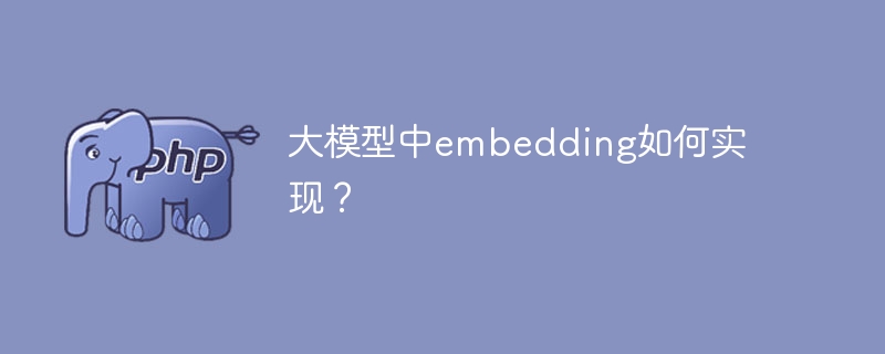 大规模模型中embedding的实现技术