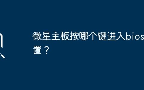 怎样通过按键进入微星主板的bios设置？