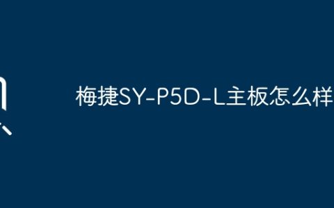 SY-P5D-L主板的性能如何？