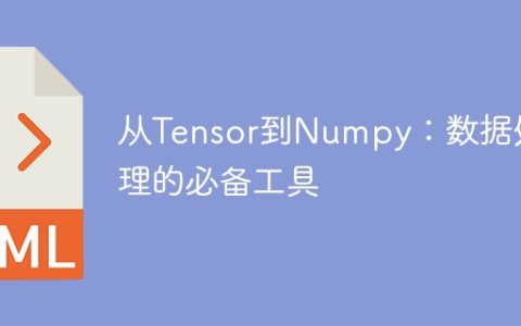 从Tensor到Numpy：数据处理的必备工具