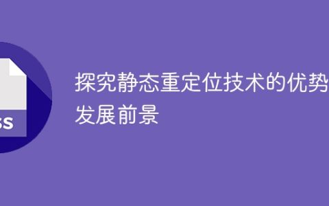 静态重定位技术的优势与发展前景的研究