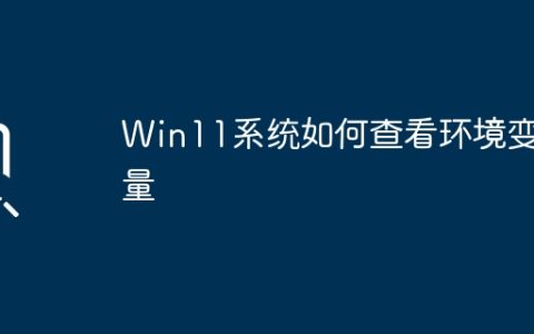 Win11操作系统环境变量的查看方法