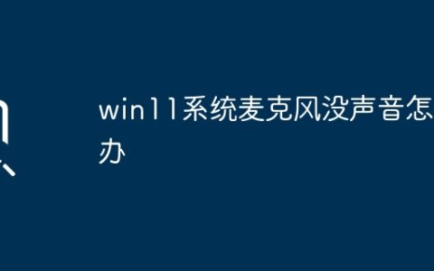 win11系统麦克风没声音怎么办