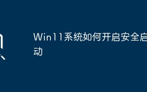 Win11系统如何开启安全启动