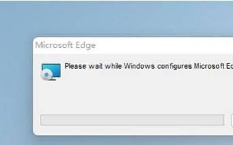 Win11 flash运行异常问题修复失败怎么办