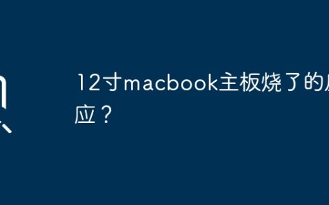 12寸macbook主板烧了的反应？