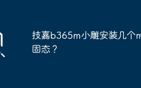 技嘉b365m小雕安装几个m2固态？