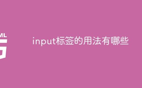不同用途的input标签存在哪些？