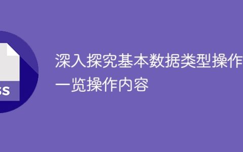 深入研究基本数据类型的操作：操作细节总览