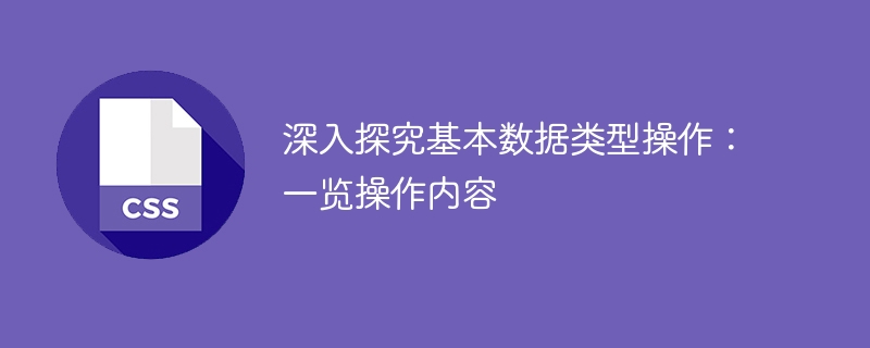 深入探究基本数据类型操作:一览操作内容