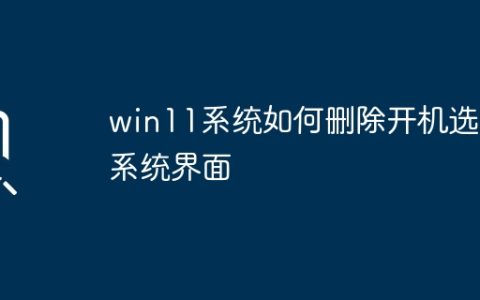 win11系统如何删除开机选择系统界面