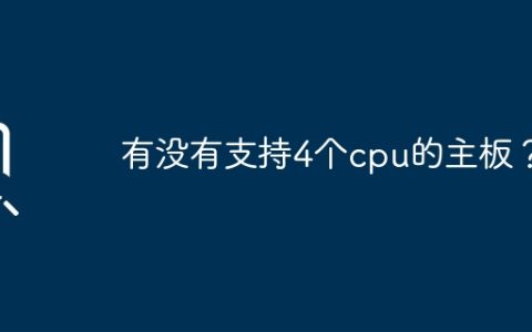 有没有支持4个cpu的主板？